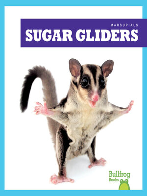 cover image of Sugar Gliders